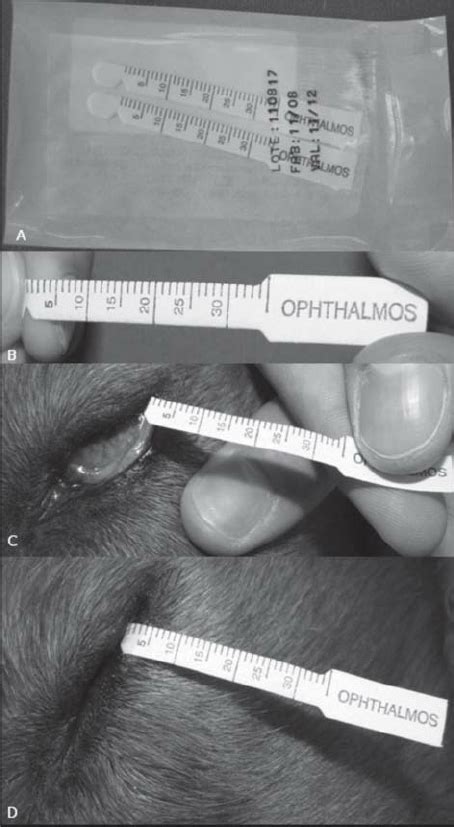 schimer tear test|schirmer test with anesthetic.